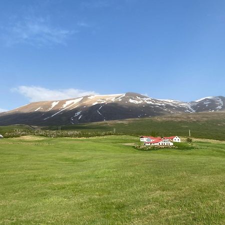 Litla-Sandfell Guesthouse Stora-Sandfell Екстериор снимка